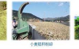 農(nóng)民科學(xué)發(fā)展新思路，秸稈綜合利用成為賺錢好門路之秸稈顆粒機