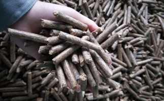鋸末顆粒機(jī)顆粒，一種快速增長的能源載體
