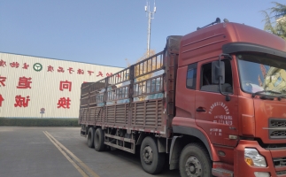 忙碌的五月，忙碌的發(fā)貨，金格瑞顆粒機(jī)生產(chǎn)線發(fā)往全國各地