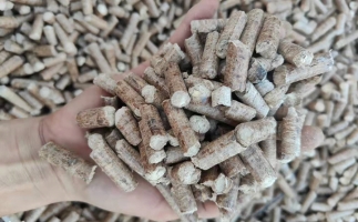 木材加工廠木屑堆積如山，環(huán)保部門令趕緊處理怎么辦？有它就夠了