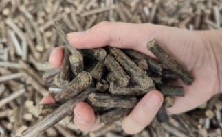 木屑燃料顆粒熱值多少大卡，完全取決于燃料的原料